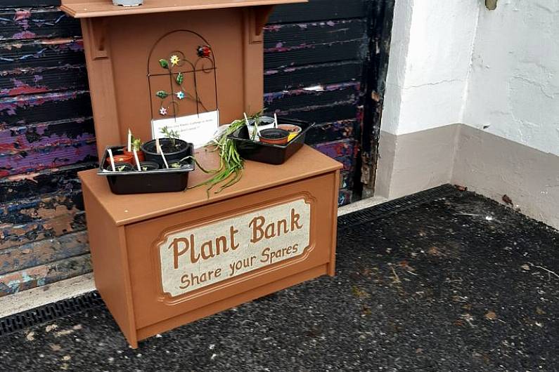 Mountnugent 'Plant Bank' initiative hopes to improve local environment