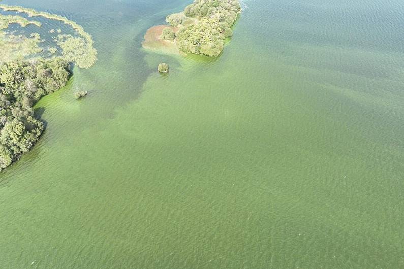 Locals warned of 'algal blooms' across the region