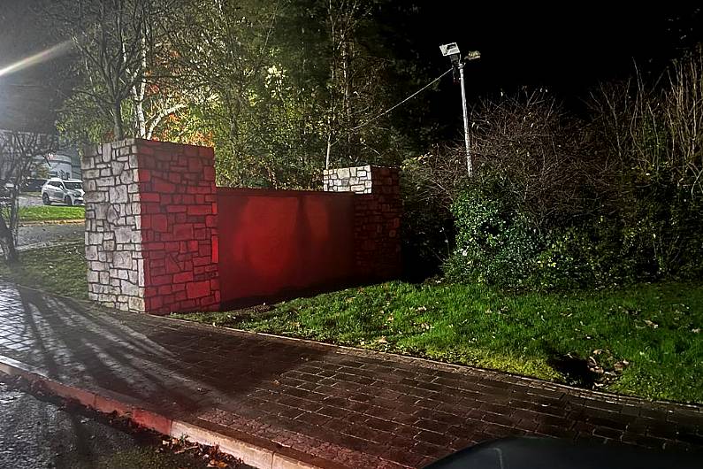 Investigation ongoing following discovery of body in Monaghan in November