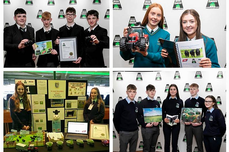 Local schools represent at agri-competition in Croke Park