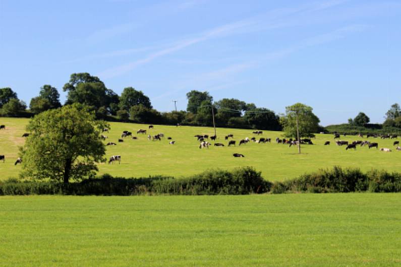 Monaghan agriculture contributes &euro;1.5bn to local economy