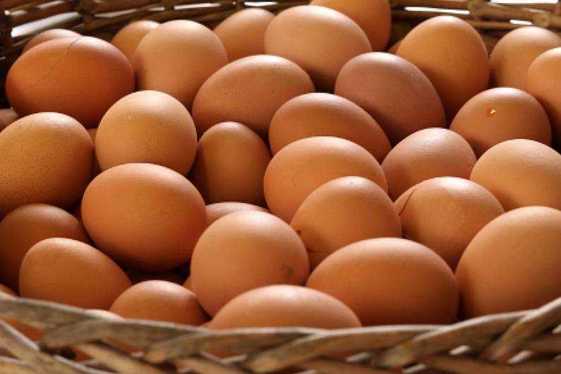 Concerns raised over treatment of Cavan and Monaghan egg producers