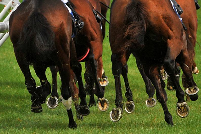 Local commentator 'hopeful' for Irish show jumping team