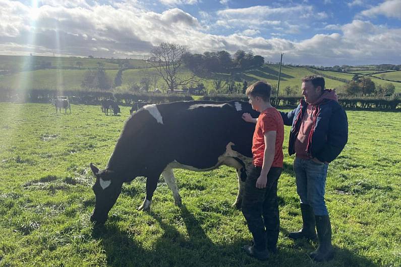 Open day for social farming planned in Carrickmacross