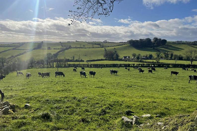 Listen Back: Open day for social farming event in Carrickmacross