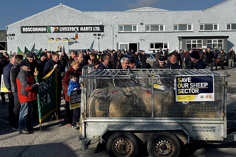 Large crowds attend sheep farmers protest today