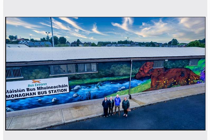 New mural unveiled in Monaghan to celebrate biodiversity