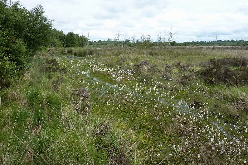 Cavan and Monaghan to share funding for peatlands initiatives