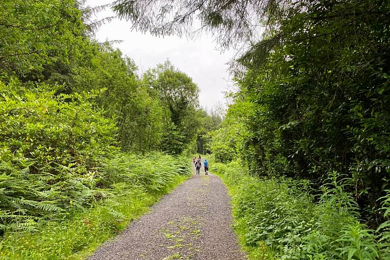 Coillte encouraging public to visit local forests during festive period