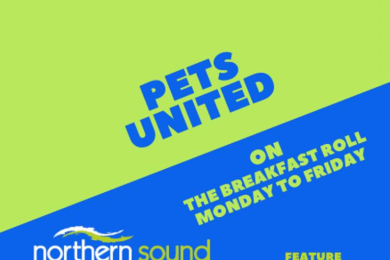 April 16 2021: Pets United Request Corner