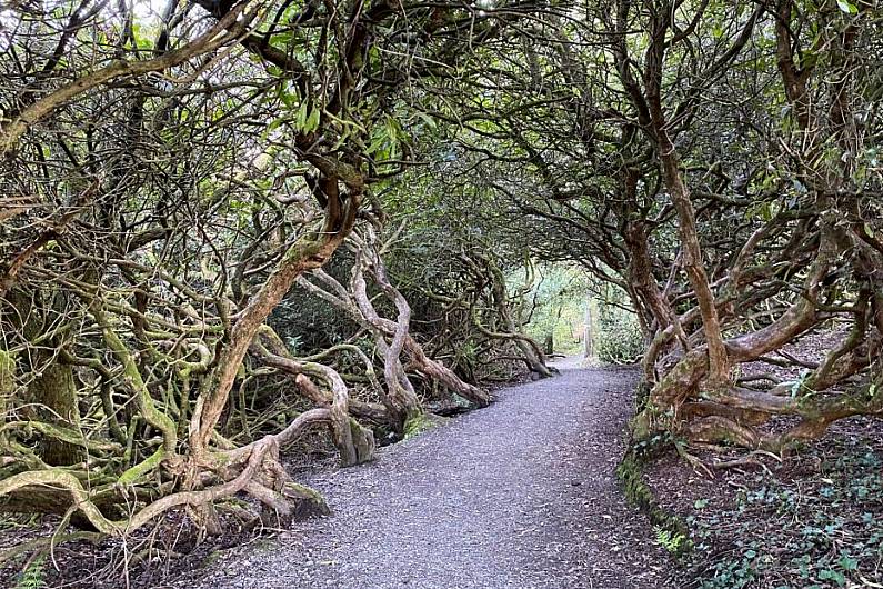 Monaghan Town Park Run seeks enthusiastic volunteers