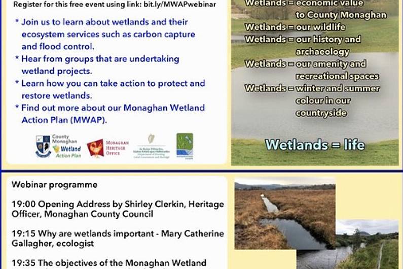 Free webinar taking place this evening on restoring Monaghan's wetlands