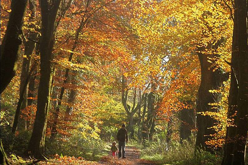 &euro;200,000 funding announcement for development of Dartrey Forest in Monaghan