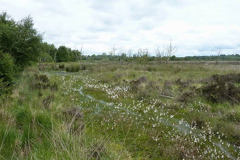 Killyconny Bog film to be launched tonight in Mullagh