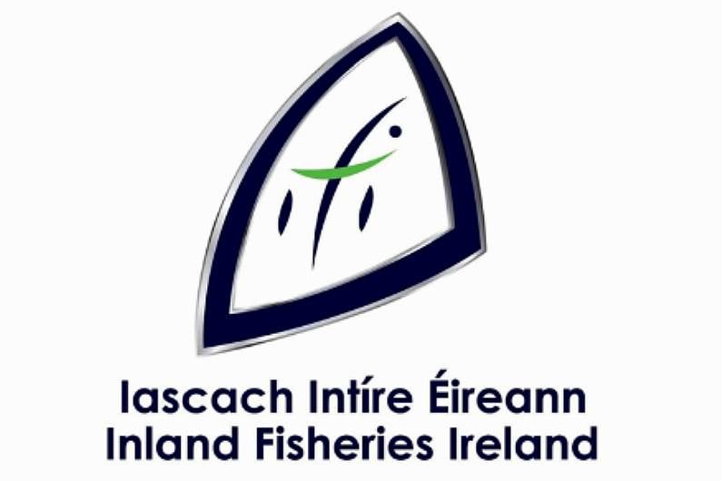 Inland Fisheries Ireland is set to recruit four Seasonal Officers locally