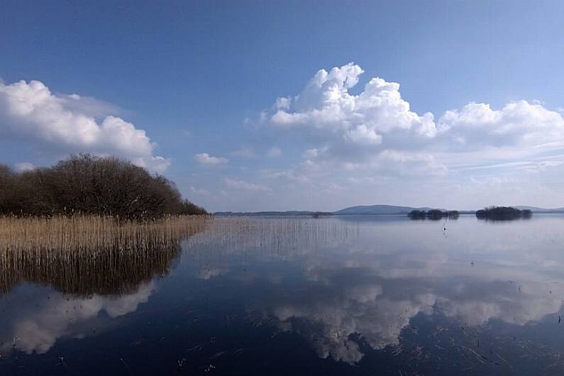 Over 1,000 fish killed in Lough Sheelin at the weekend