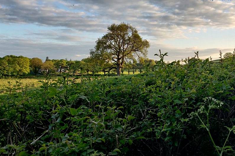 Agri minister wants to break down 'cultural barriers' for local female farmers