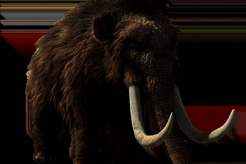 Hopes Belturbet woolly mammoth will explain prehistoric Ireland