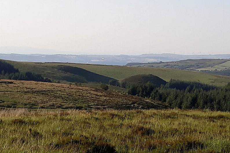 Government warned jobs at risk in local horticulture sector because of ban on harvesting peat