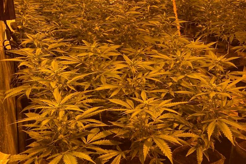 Man due in Court this morning following discovery of grow house in Carrickmacross