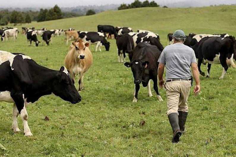 Junior Minister placing focus on mental health for Farm Safety Week