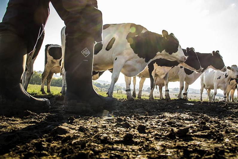 Bad weather pushing local farmers to 'crisis point'