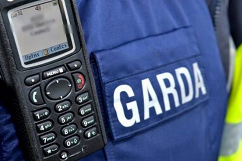 Attack on Cavan Garda 'particularly vicious'