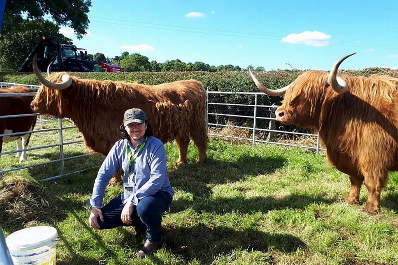 Hamish and Henry