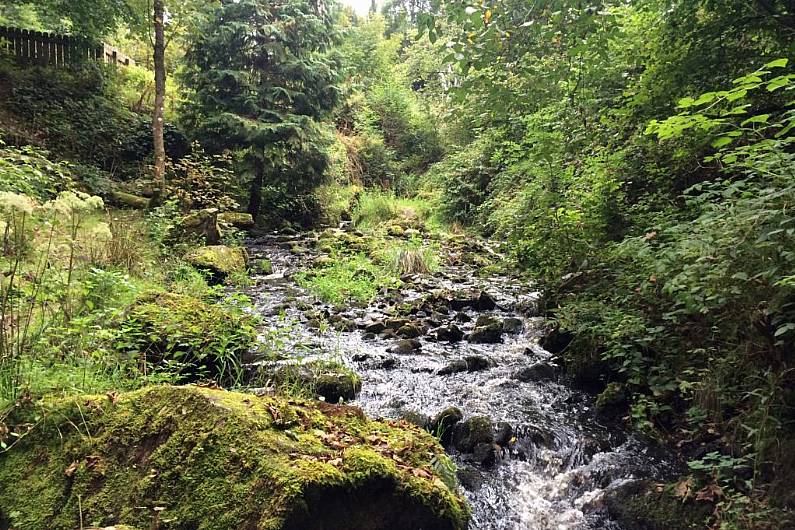 Listen Back: Monaghan Wetlands competition launched