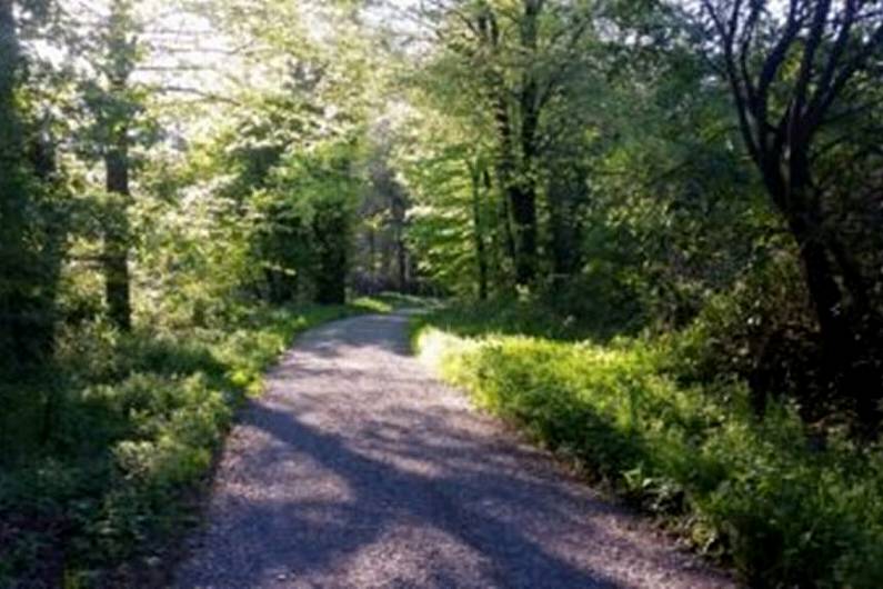 Work on Rossmore Forest cycle track progressing