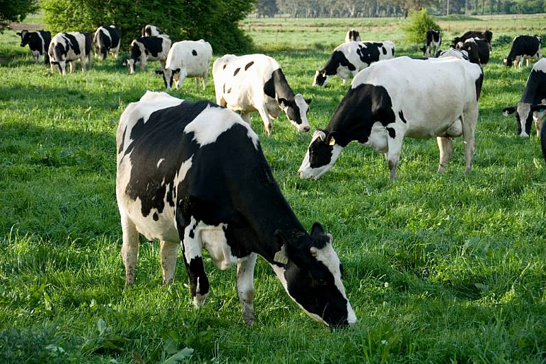 Farm theft gangs being directed by 'one or two' locals