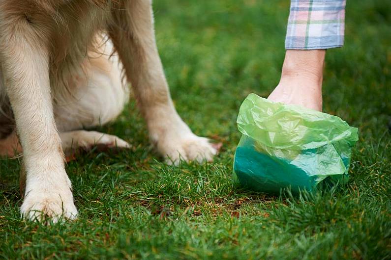 Cavan wheelchair user highlights worsening dog fouling situation