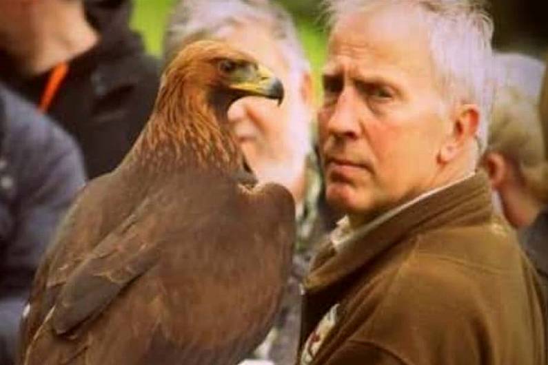 Good news as Boru the Golden Eagle is found safe in Glaslough