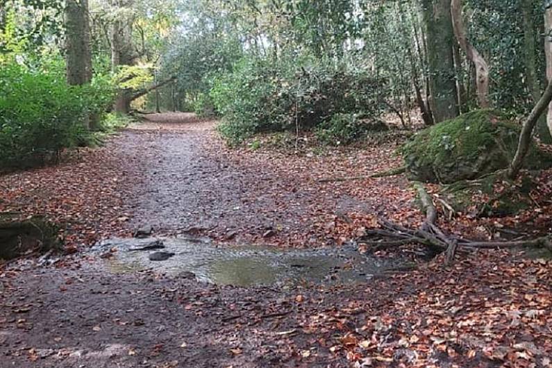 Tourists 'Mad about Monaghan' after flocking to the county