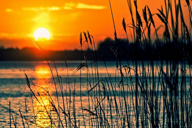 Algae on Lough Melvin indicates 'deteriorating' water quality