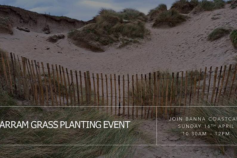 Volunteers needed to help save Banna sand dunes