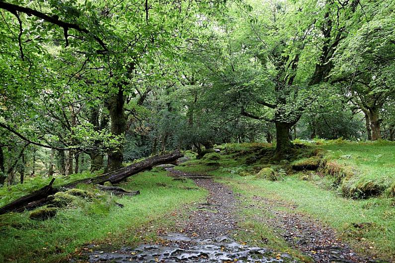 State to take steps to legally protect Killarney National Park as SAC