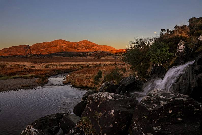 &euro;2.7 million spent on managing Rhododendron at Killarney National Park in last five years