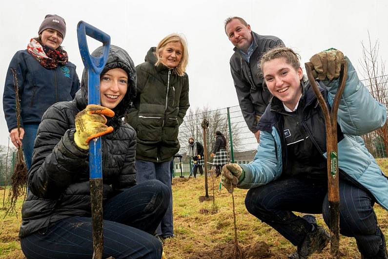 Tralee school gets new outdoor living classroom