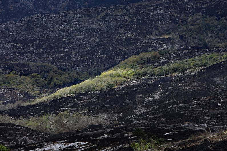 Farmers impacted by Killarney National Park fire hit with fines