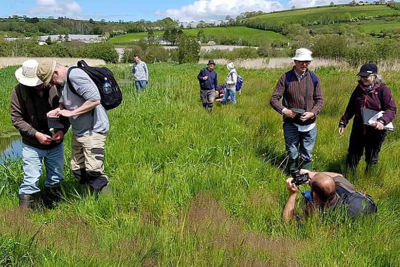 Botanists from across Ireland taking part in four days of flora event in Killarney