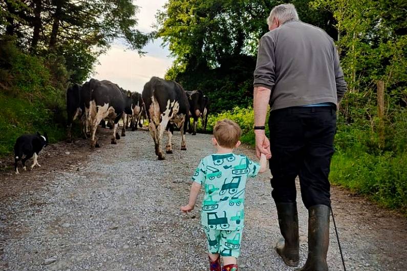 Headford woman wins dairy farming photo competition