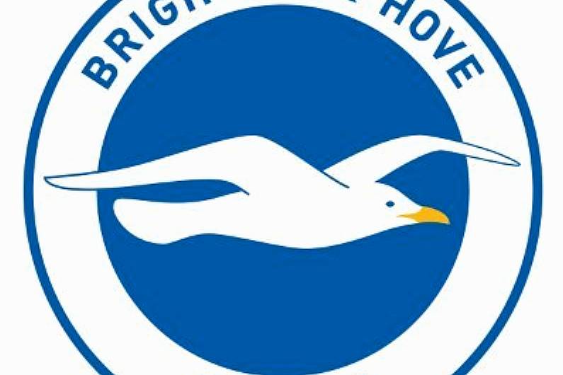 Brighton appoint Hurzeler as new head coach