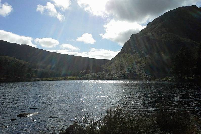 Coillte temporarily closing Glanteenassig Forest Park for works