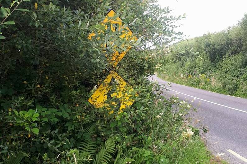 No plans for community grant scheme for hedge cutting in Kerry