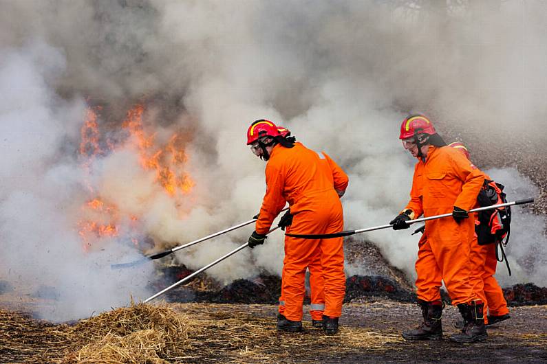 Killarney National Park staff taking specialist training to prevent repeat of 2021 wildfire devastation