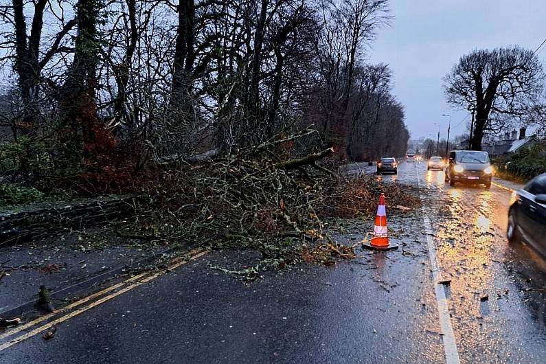 Council to review roadside trees on lands it owns after roads blocked during storm