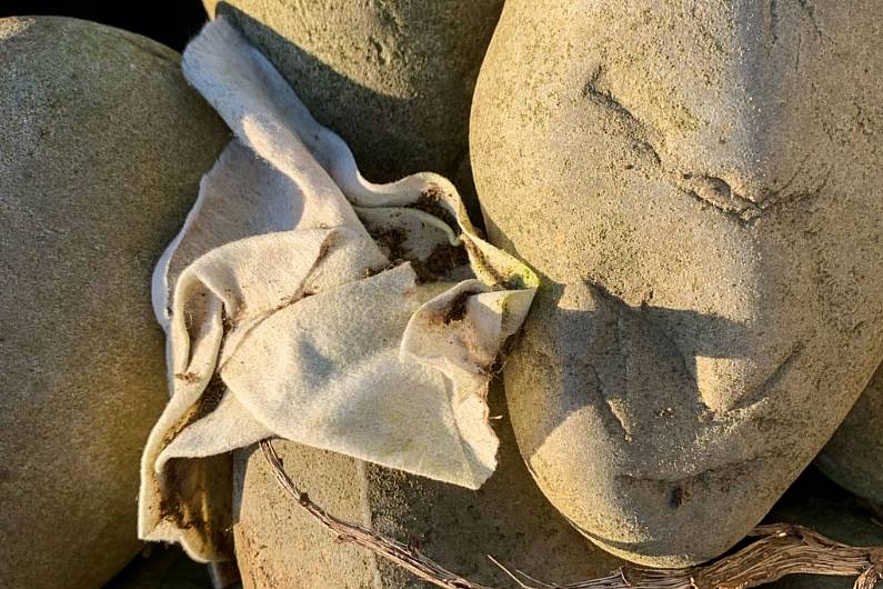 People urged to &ldquo;Think Before You Flush&rdquo; to protect Kerry&rsquo;s Blue Flag Beaches