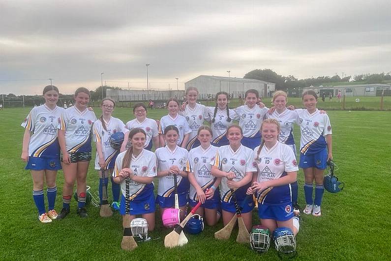 Tralee Parnells Hurling and Camogie Club weekly notes