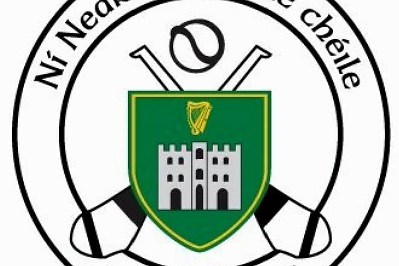 Tralee Parnells Hurling and Camogie Club weekly notes